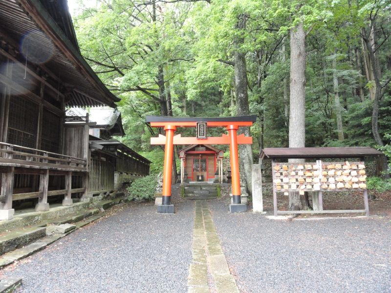 img0005.jpg