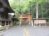 img0005.jpg