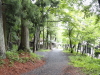 img0007.jpg