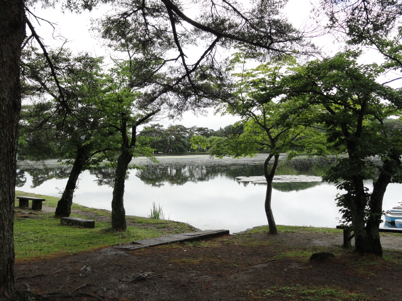 img0001.jpg