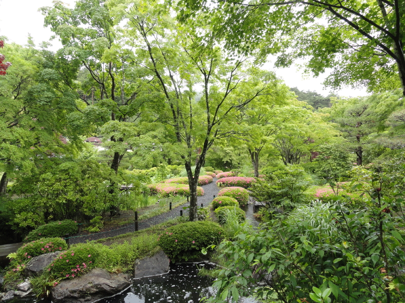 img0030.jpg