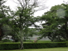 img0005.jpg