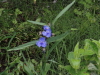 img0010.jpg