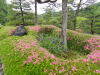 img0019.jpg