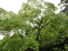 img0028.jpg