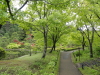img0042.jpg