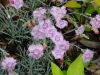 img0043.jpg