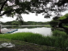 img0045.jpg