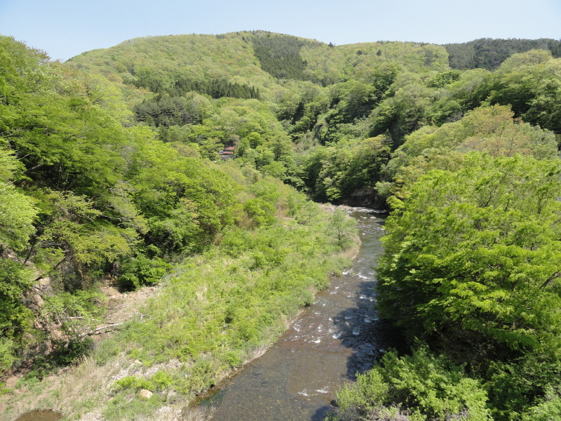 img0007.jpg