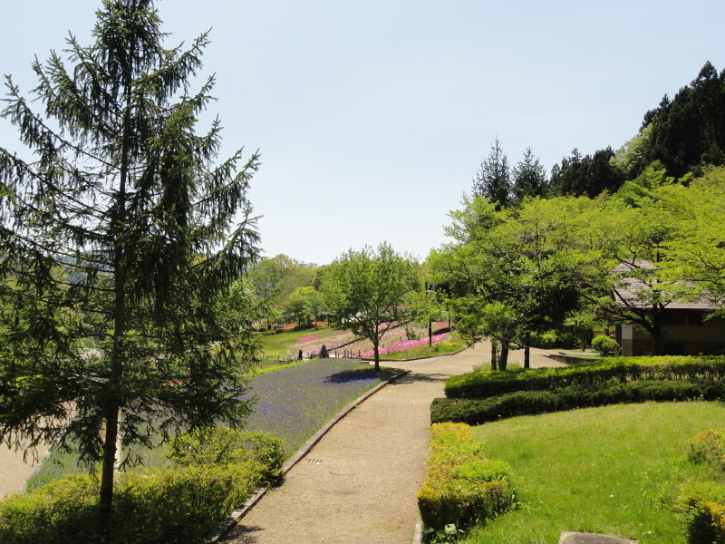 img0014.jpg