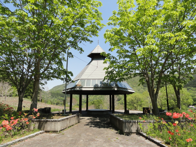 img0036.jpg
