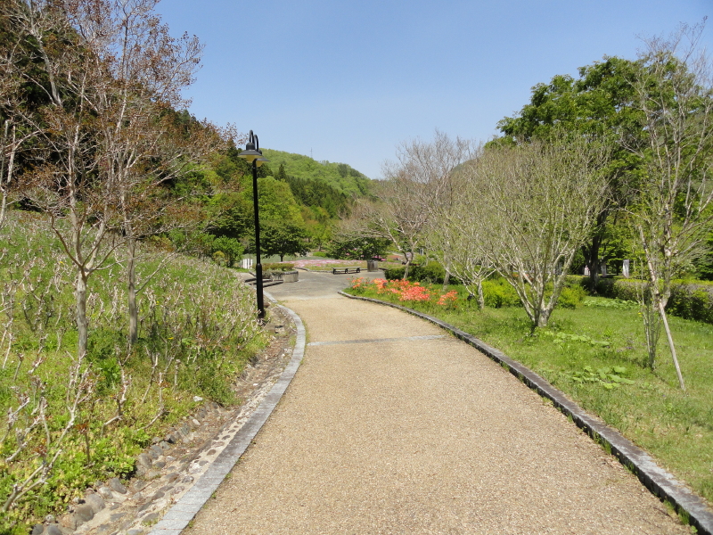 img0041.jpg
