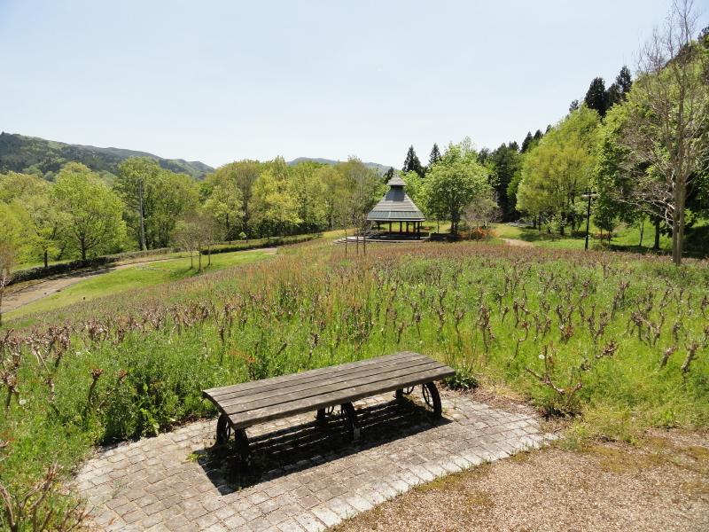 img0044.jpg
