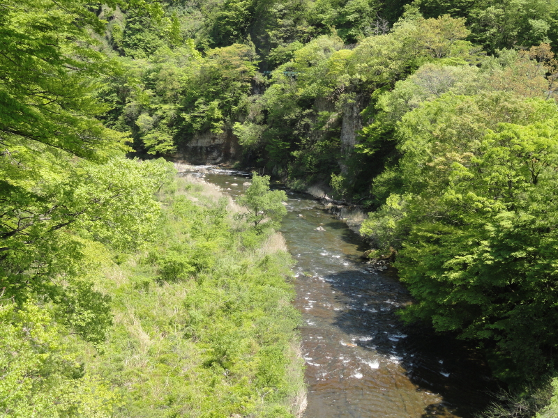 img0074.jpg