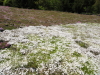 img0027.jpg