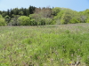 img0040.jpg