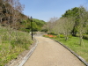 img0041.jpg
