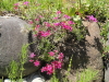 img0042.jpg