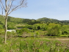 img0045.jpg