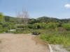 img0047.jpg