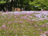 img0051.jpg