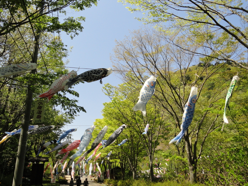 img0004.jpg
