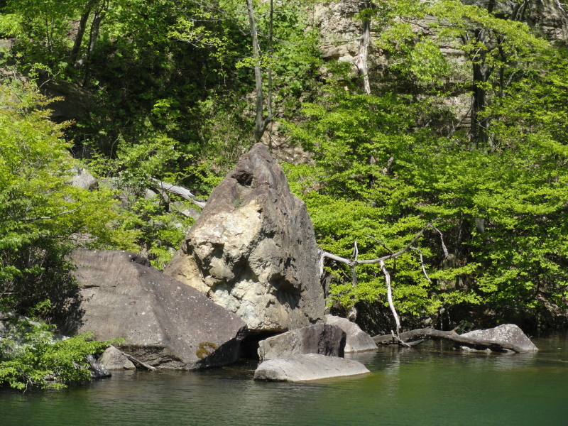 img0046.jpg