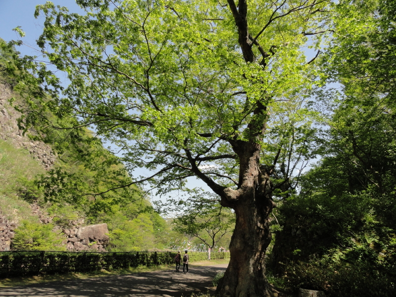 img0065.jpg