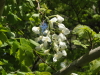 img0013.jpg