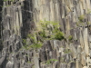 img0061.jpg