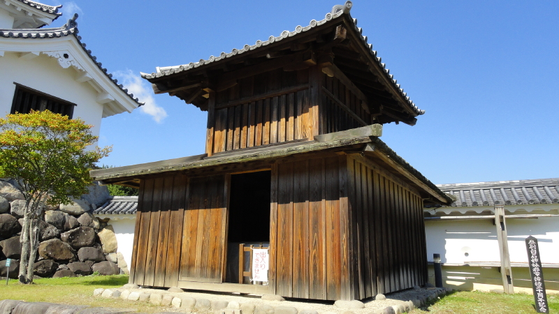img0020.jpg