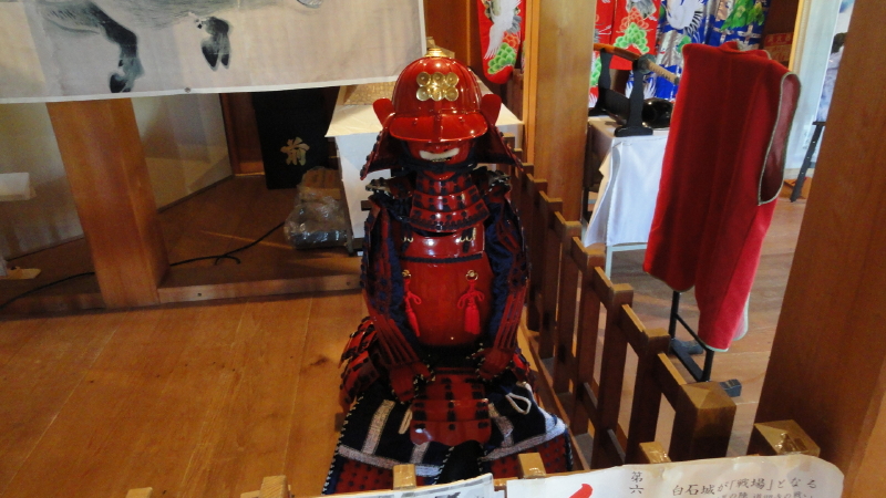 img0031.jpg
