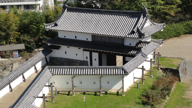 img0046.jpg