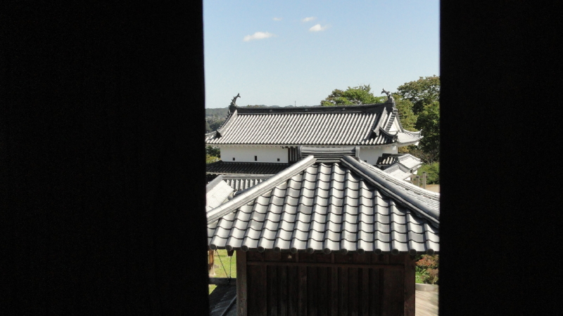 img0062.jpg
