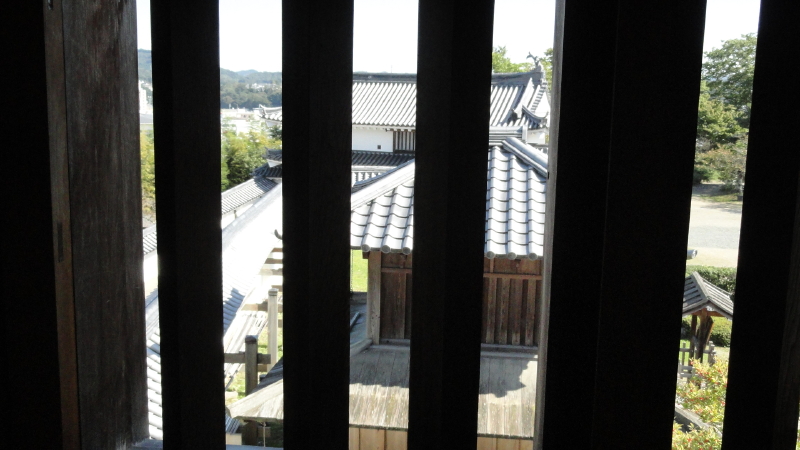 img0063.jpg