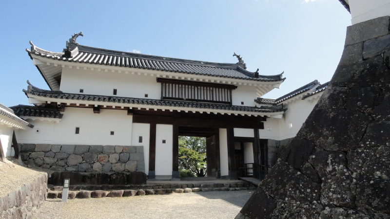 img0081.jpg