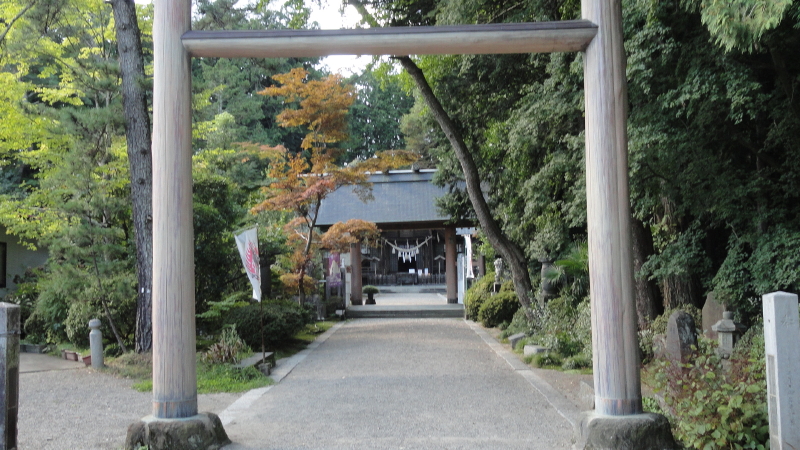 img0082.jpg
