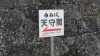img0006.jpg