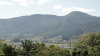 img0051.jpg