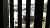img0063.jpg