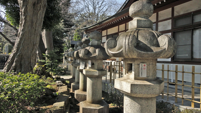 img0020.jpg