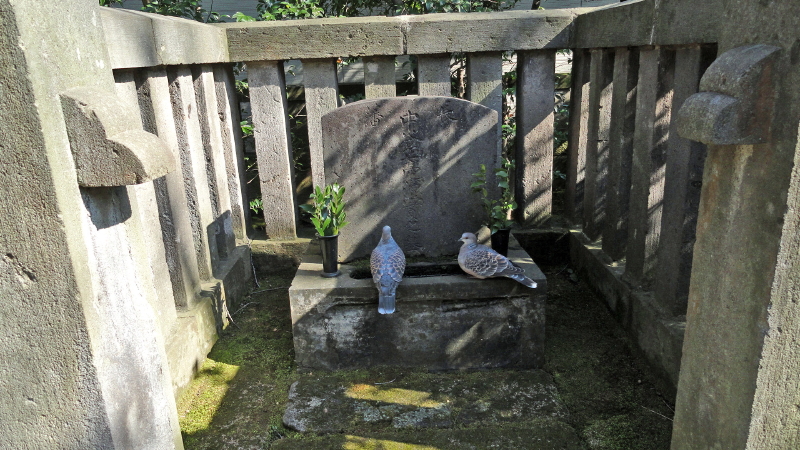 img0025.jpg