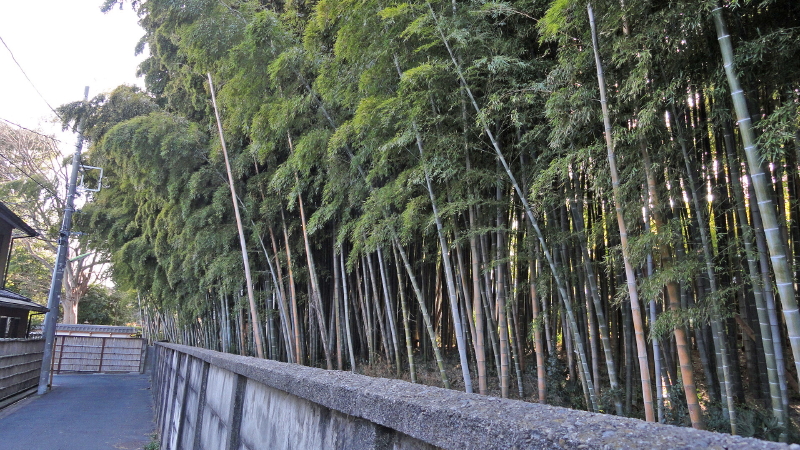 img0000.jpg