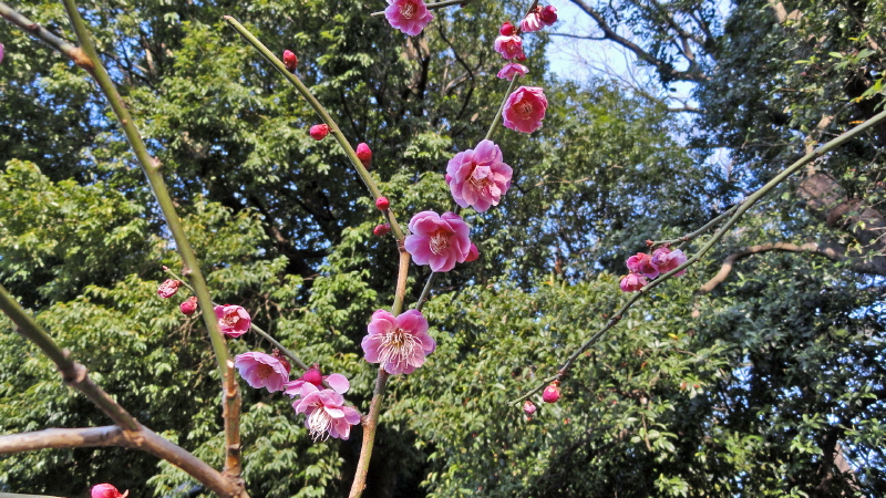img0008.jpg
