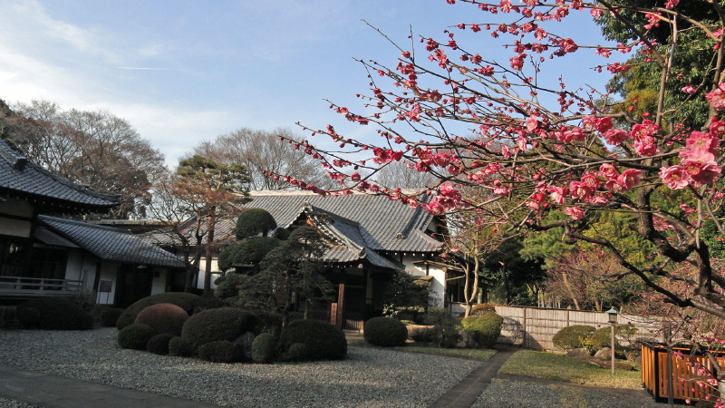 img0009.jpg