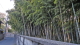 img0000.jpg