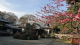 img0009.jpg