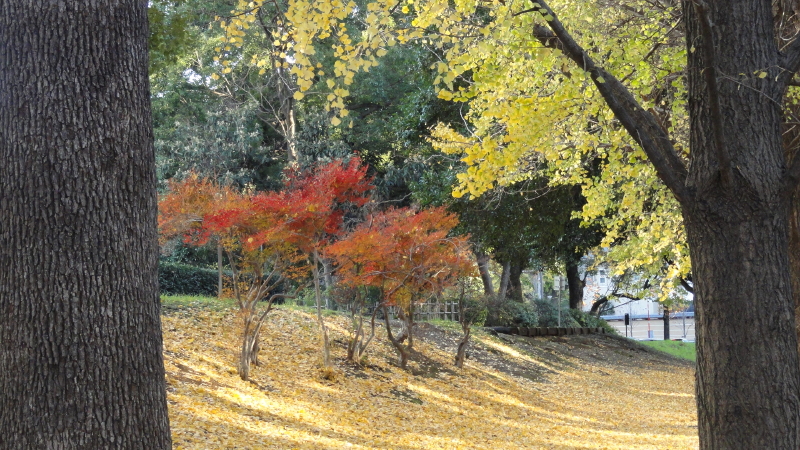 img0006.jpg