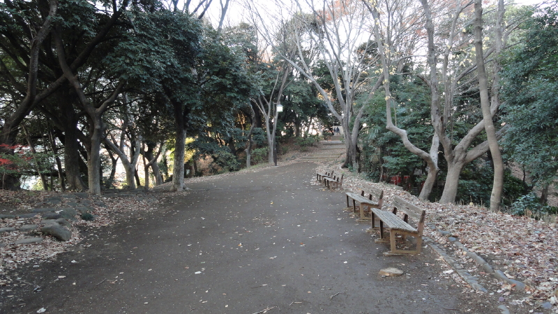 img0011.jpg