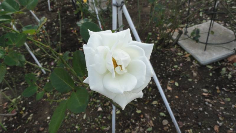 img0023.jpg